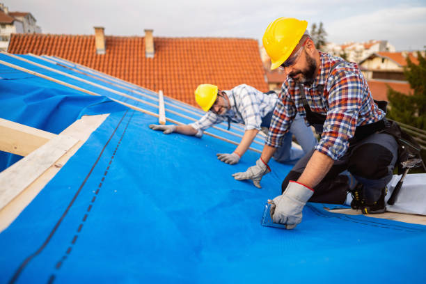 Best Roof Gutter Cleaning  in Iuka, MS